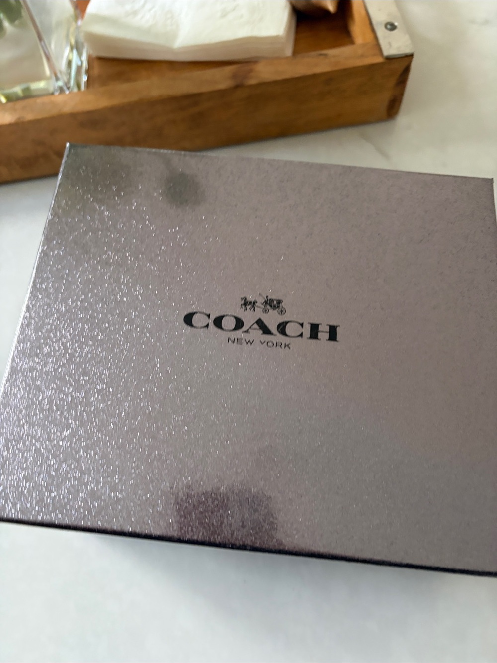 Coach mini pouch and case